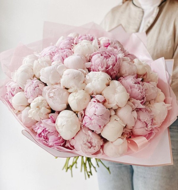 красивые букеты пионов