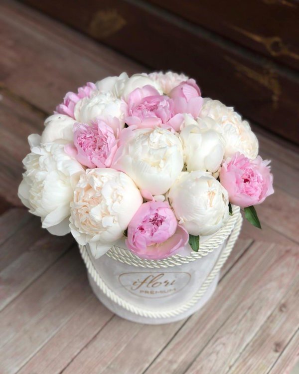 коробка с пионами