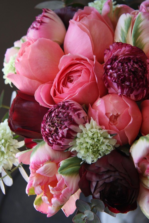 тюльпаны пионы пионовидные