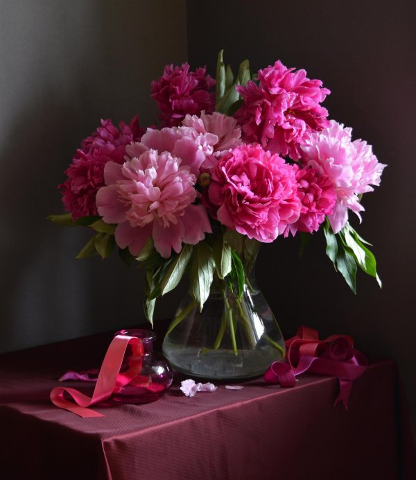 натюрморт с пионами