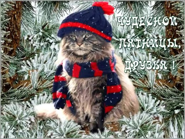 пятница зима