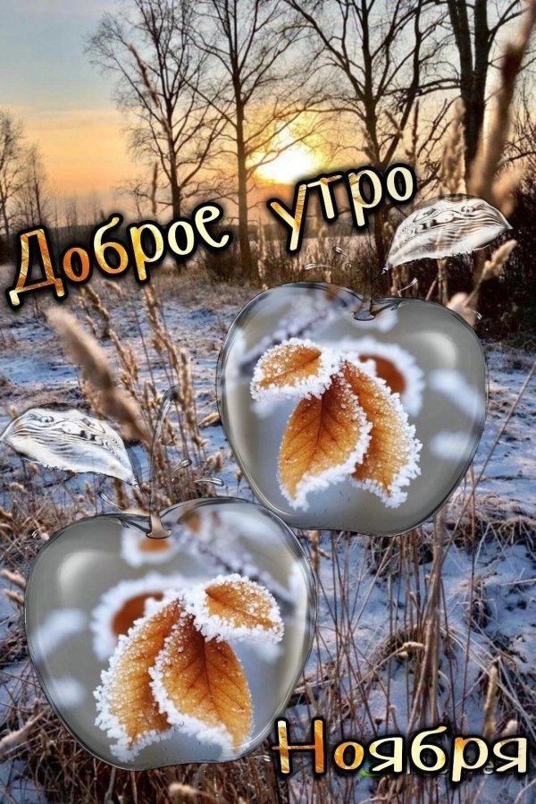 доброго ноябрьского утра