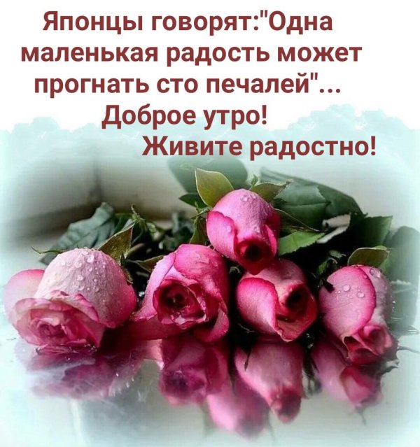 высказывания про цветы