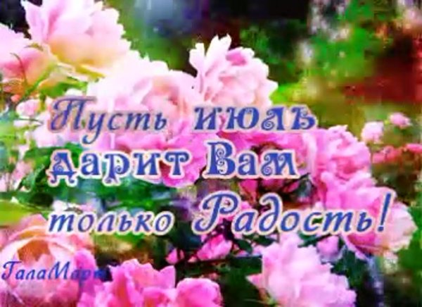 поздравление с 1 июля