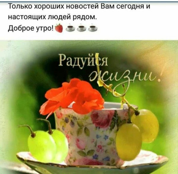 доброе утро доброе утро