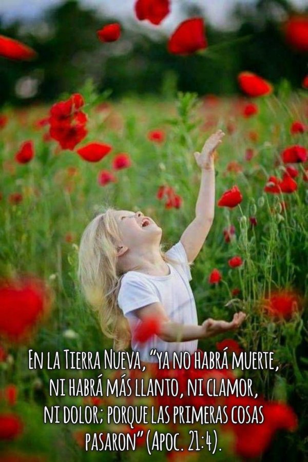 цветы детей