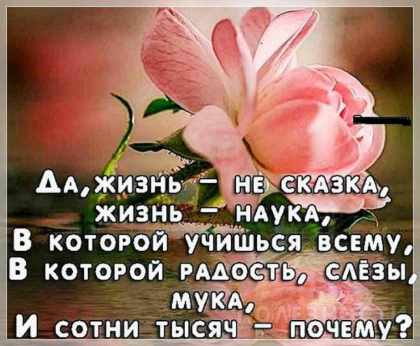 слова мудрости