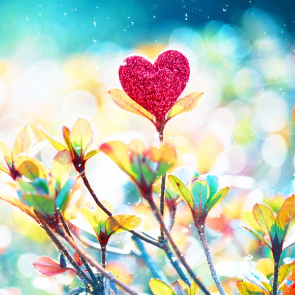 весеннее сердечко