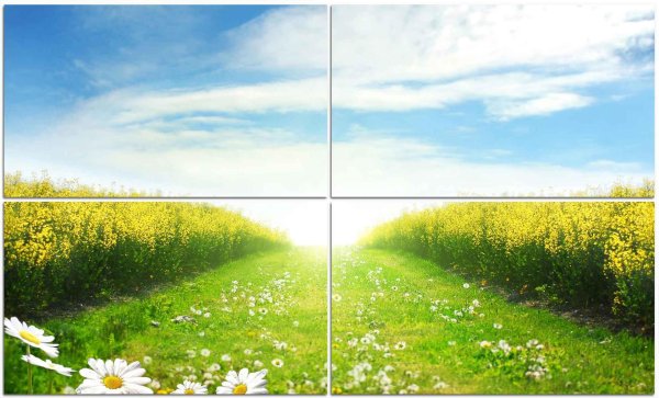 солнечный день