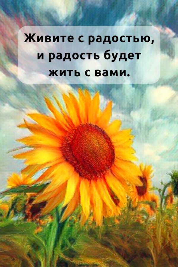 пейзаж с подсолнухами