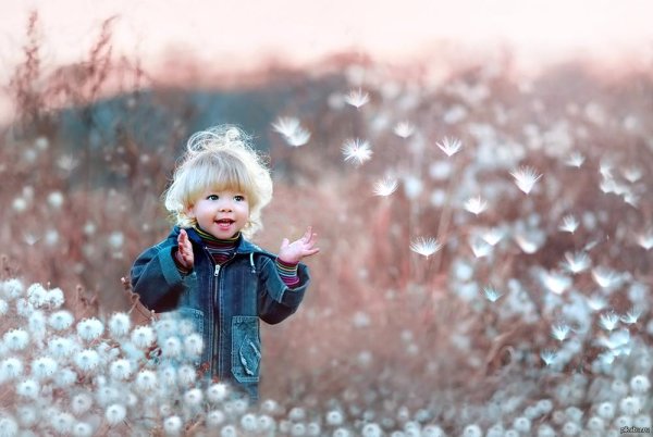 мальчик одуванчик