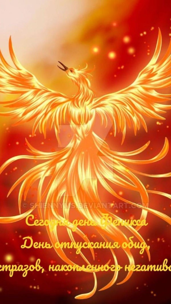 птица феникс