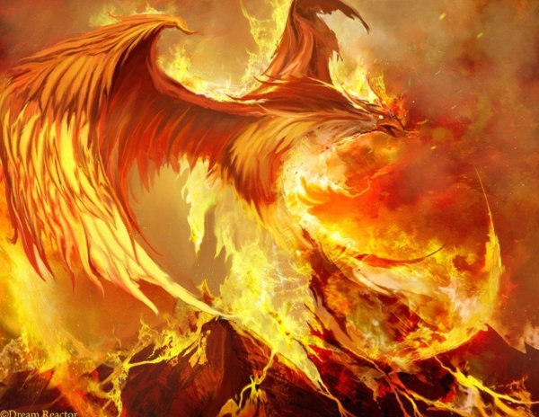 огненная птица