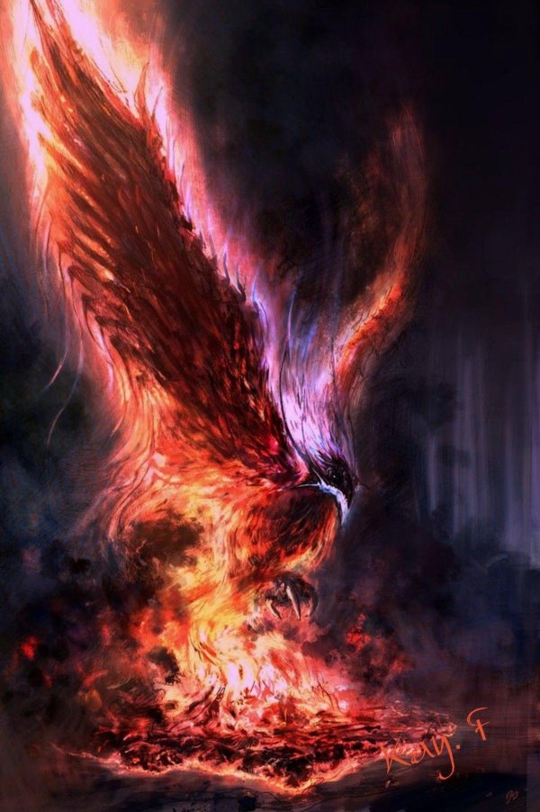 огненный феникс дилюк