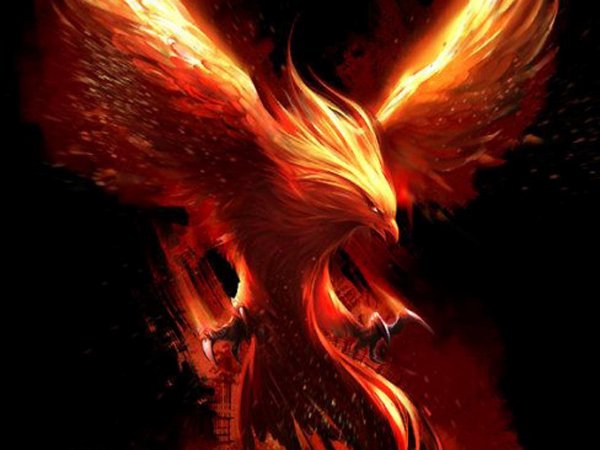 огненная птица