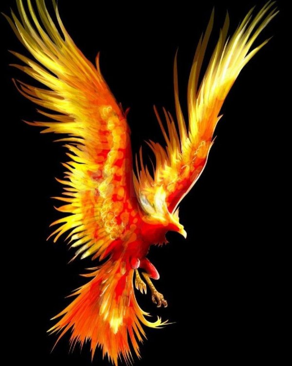 огненная птица