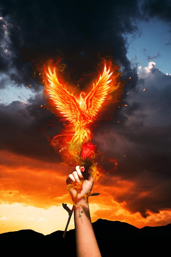 феникс восставший из пепла