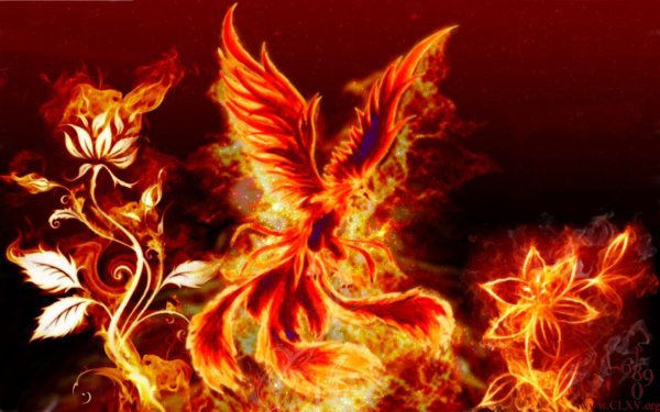 феникс огненный