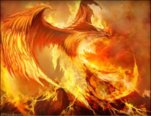 огненная птица
