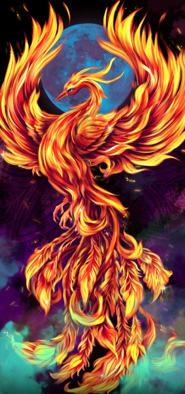 феникс картина
