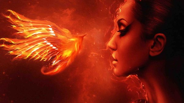 огненная птица