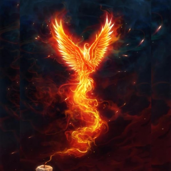 огненный феникс