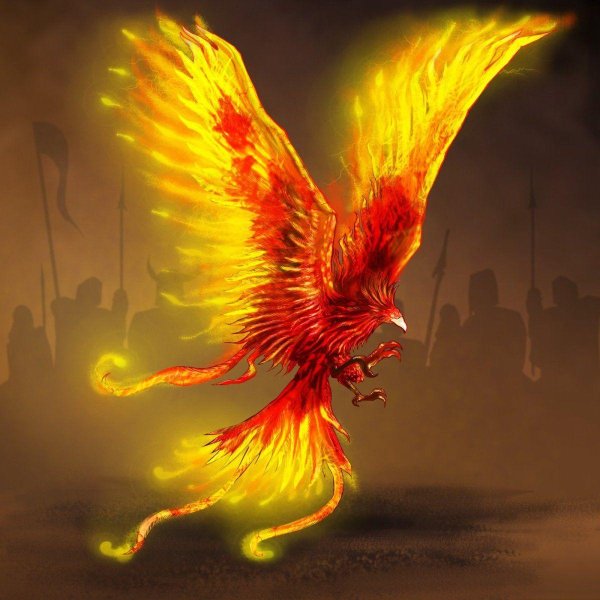 огненный сокол рарог