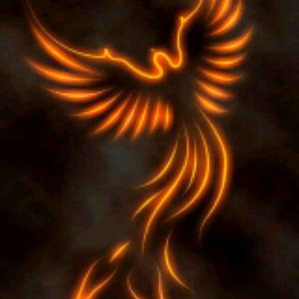 огненная птица