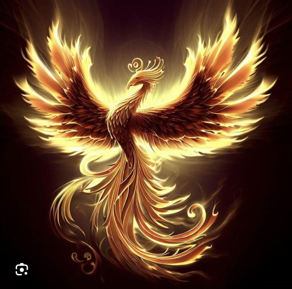 рисунки феникса