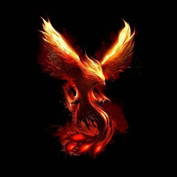 огненная птица