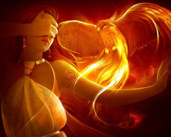 жар птица девушка