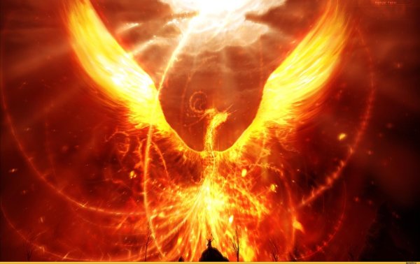 птицы феникс