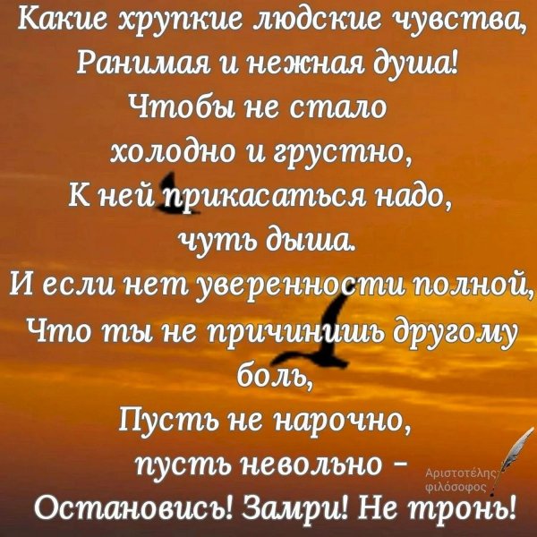 слова мудрые