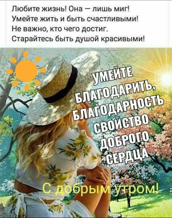 пожелания доброго утра дня