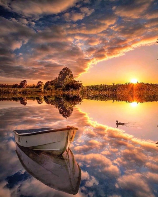 вечер природа