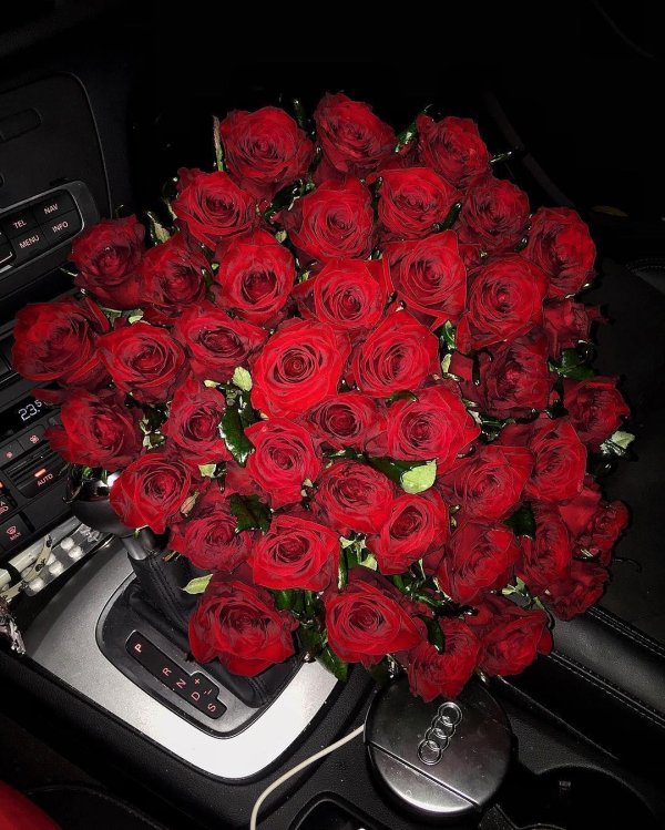 цветы в машине