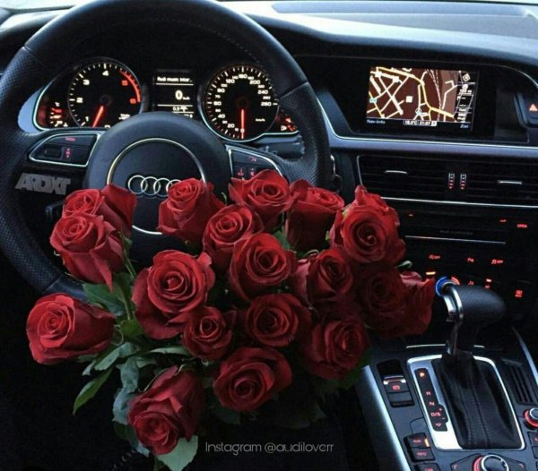 цветы в салоне машины