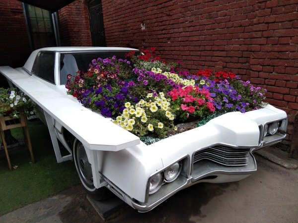 клумба из автомобиля