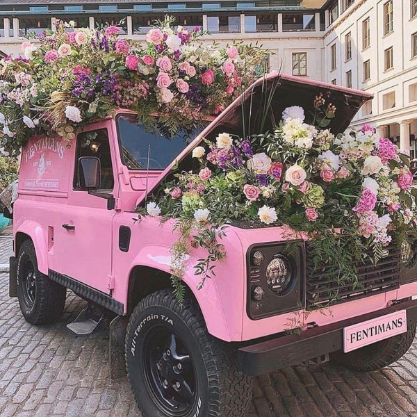 розовый ленд ровер