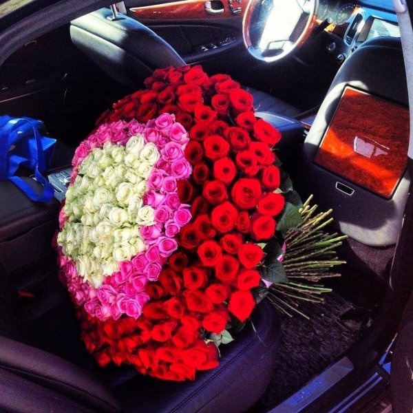 цветы в машине
