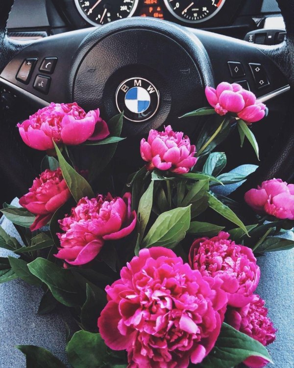 бмв с цветами