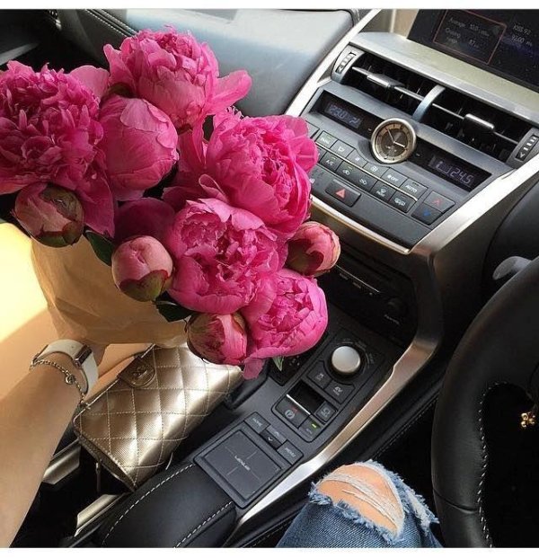 пион мерседес