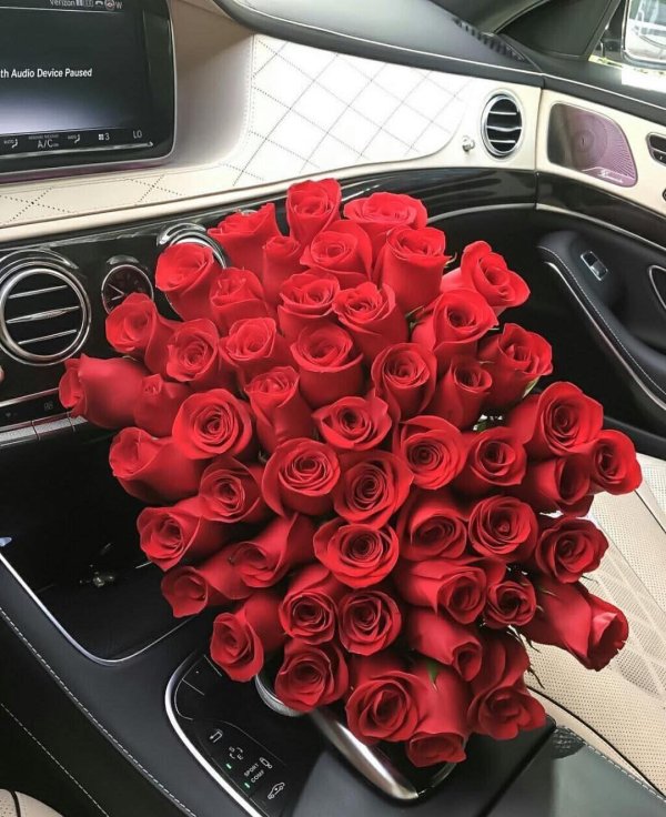 цветы в мерседес w205