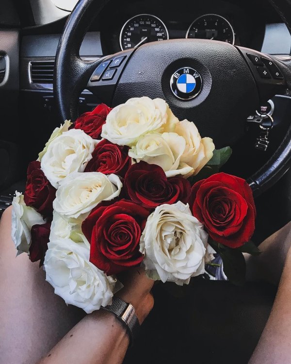 девушка бмв