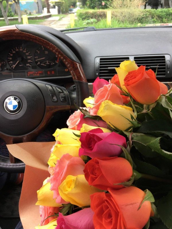 бмв и розы