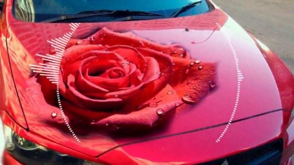 аэрография на капот