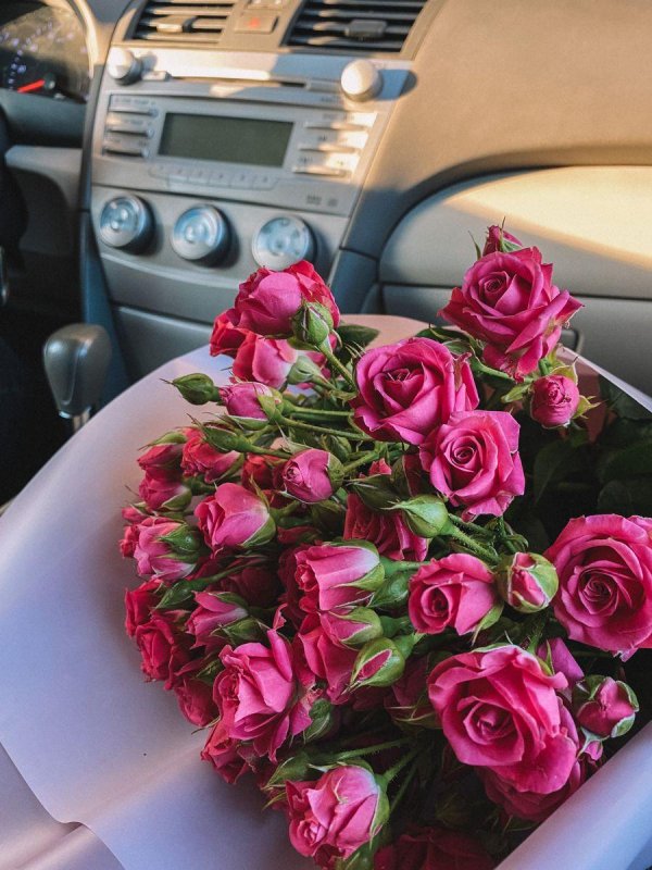 цветы в машине