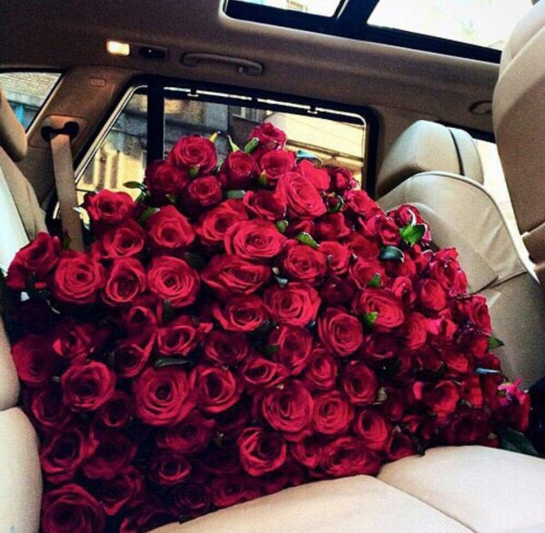 цветы в машине