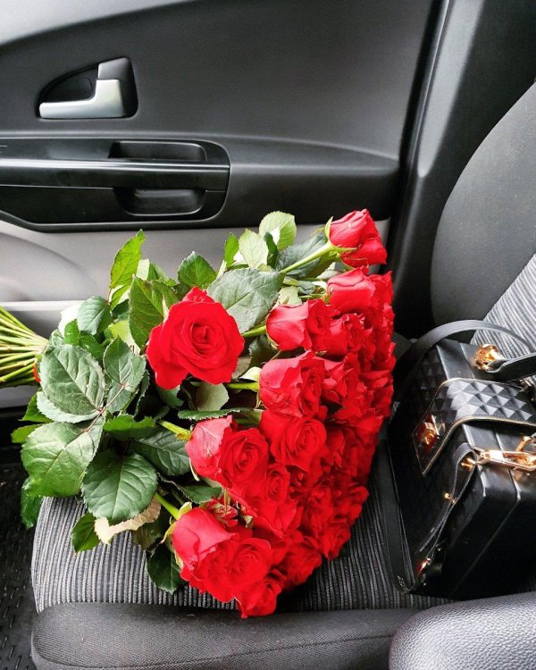 цветы в салоне автомобиля