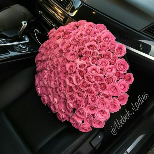 101 розовая роза